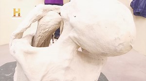 #MomiasDeNazca Fue en Nazca donde supuestamente se habría localizado la tumba que contenía diversos cuerpos humanoides con características muy distintivas. Algunos de ellos pudieron ser observados y analizados por el equipo. 📺 Todo esto y más en tu pantalla de History | HISTORY