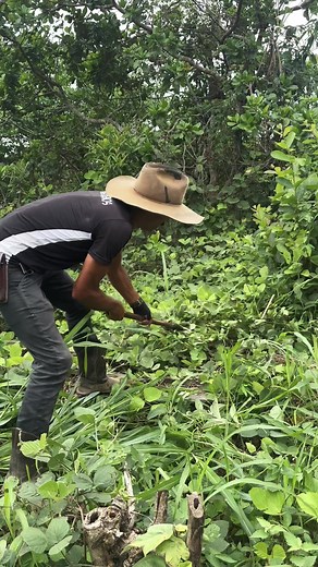Engaging in Sustainable Farming Techniques