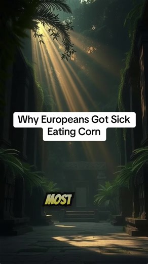 When Europeans brought maize back from Mexico, they unknowingly skipped one crucial step: nixtamalization. This ancient Indigenous Mexican food science process unlocks essential nutrients in corn and prevents pellagra, a deadly vitamin deficiency disease. For thousands of years, Mesoamerican civilizations like the Aztecs and Maya understood maize nutrition, using lime-treated corn to create masa and tortillas. This hidden Mexican history reveals how Indigenous innovation and agricultural knowled