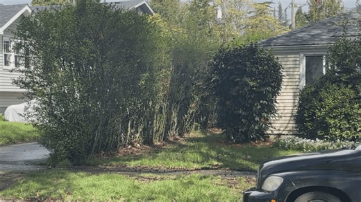 Planning ahead key to escaping wildfire; ESF offers tips to prepare for evacuation