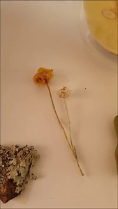 Unexpected microscopic discoveries