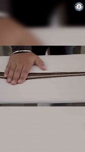 Exploring the record of the world's longest beard