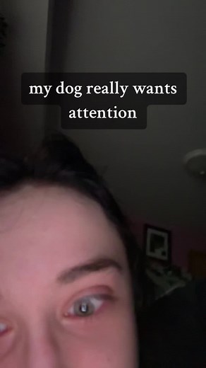 shes been whining but im giving her attention