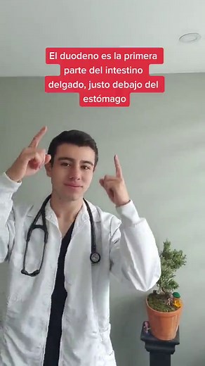 Duodenitis: Causas y Síntomas Clave