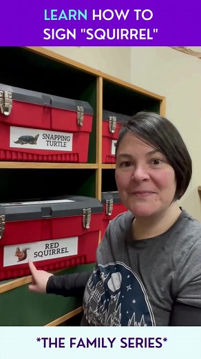 🐿️ Let's learn how to sign "squirrel"! 🤟🏼 Whether you're sharing stories about the furry creatures in your backyard or simply adding some fun to your everyday communication, learning sign language is a valuable skill that brings people closer together. Plus, who doesn't love cute little squirrels? 🌰 So gather the family and let's start signing! #SignLanguage #Squirrel #FamilyFun #LearnTogether #LearnASLwithMichelle #LearnASLtoday #SignLanguageisforeveryone #ASLclass #signlanguageonlineclass 