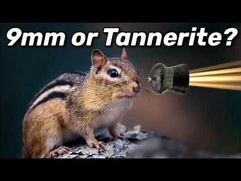 9mm or Tannerite... which is best for chipmunks?