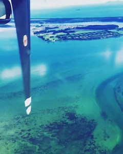 7.1K views · 451 reactions | Arriving home to The Bay Of Plenty | Manu Bennett | Facebook