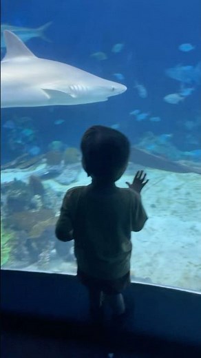 EPCOT Seabase Aquarium: Cool Rest Spot for Kids at Disney World