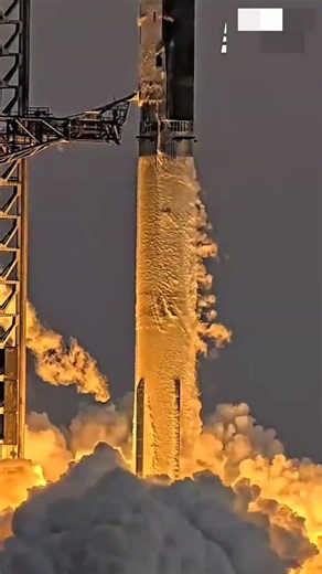 our journey stone to accelerate evolution🧬🪨☠️