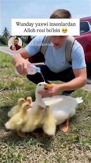 😢SIZ NIMA QILGAN BOʻLAR EDIZ😢 #rek #reels #duet #rekkkkkk #love #kottabollar #funny #fargona