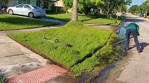 Sad story🥹 when I was cleaning and tidying up the grass on the sidewalk, someone mocked me for being unemployed and crazy, but I remained focused on working even though it was free. | M & D Lawn Care Original