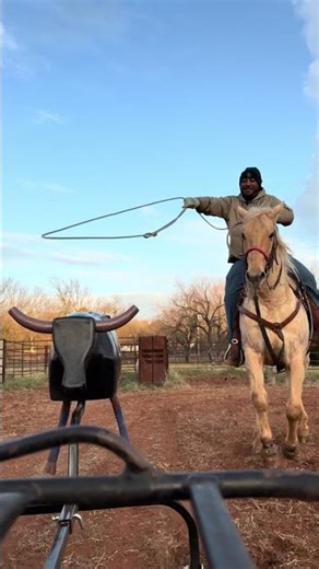 #horse #rodeoevent #rodeo #roping #teamroping