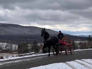 37K views · 3K reactions | Happy FYI Friday at Windermere Farms!...