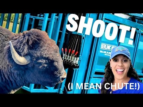 The TOOL for Handling and Caring For Bison! (Berlinic)