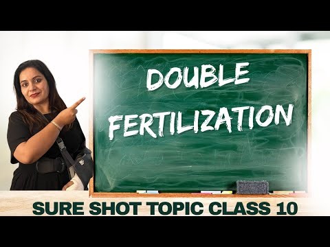 Double fertilization class 10 science important topic