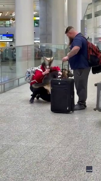 Dog greets owner with big bouquet – and even bigger kisses