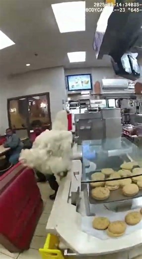 Chicken Road: The KFC Heist