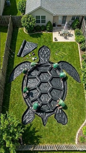 I Built a Turtle Garden in My Backyard 🐢🌿