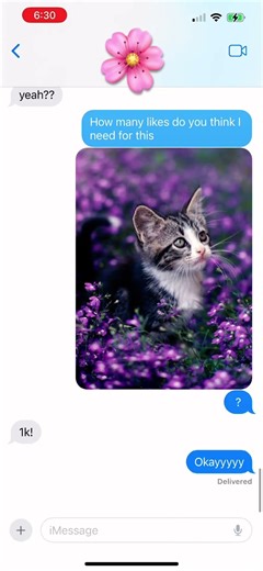 #cat #kitten #cute #blowup #viral