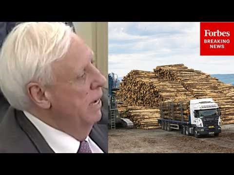 'It Is The Silliest Thing In The History Of The World': Jim Justice Decries Logging Supply Chain