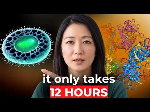 THIS Food Can Repair DNA Damage Overnight & DOUBLES Your Lifespan – Eat This Every Night | Dr Leana