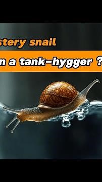 Why my mystery snail is floating in the tank?