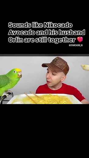 Nikocado Avocado Weight Loss Update: Is He Still with Orlin? Reuniting with Mr. Noodle!