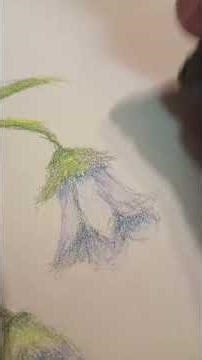 Spring is coming #colouring #art