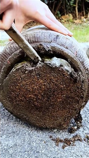 Manual Stone Cutting Work in Progress