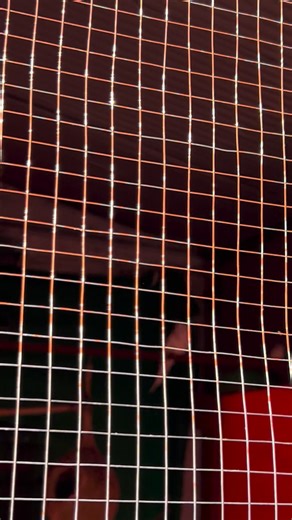 🦜 Colorful Parrots – Beauty, Fun & Attitude! In this video you’ll see these cute parrots showing their beautiful colors and funny little habits. From playing together and making sounds to posing in front of the camera – every moment will make you smile. If you love birds and pets, don’t forget to like, share and follow! ❤️🕊️ ⸻ #Parrots #ParrotVideo #ParrotReels #CuteParrots #ColorfulParrots #BirdLovers #BirdReels #PetBirds #PetLovers #AnimalReels #ViralReels #ReelsVideo #BirdsOfInstagram #Parr