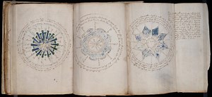 Voynich Manuscript - complete PDF book