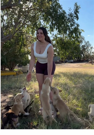 Walking with Eight Adorable Puppies