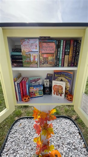 Our Fall Little Free Library Setup! 🍁🍂📚