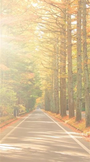 Progress is still progress #grind #selfgrowth #faith #progress #healing