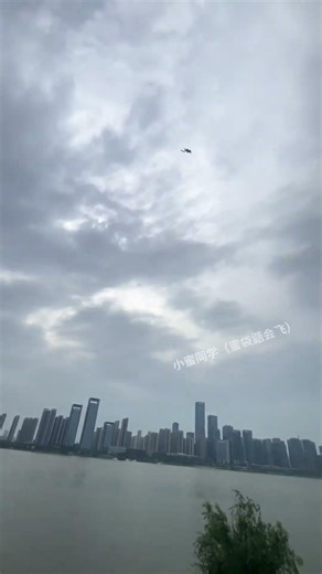 #Mouse Mouse Takes You Flying #Sugar Glider Flying Squirrel #Pet Mice