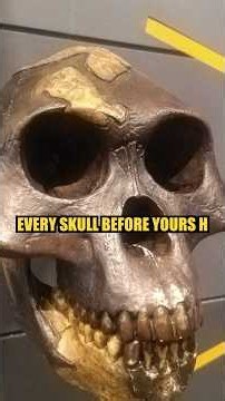 Every Skull Before Yours Had a Brow Ridge.