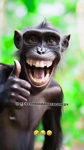Why is this monkey smiling | Officer Programmer comedy | Facebook