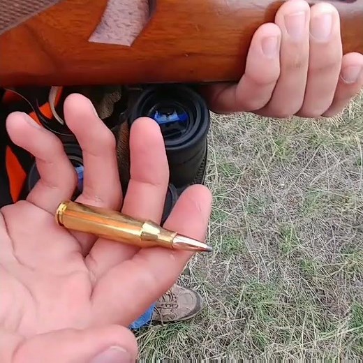 Ruger M77 Mk II 243 Win. Hornady American Whitetail 100 Grain and Nikko Stirling Scope