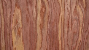 Red cedar: a sustainable type of wood for woodworking