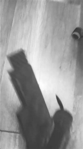 pl 17 crash (cobi ww2)