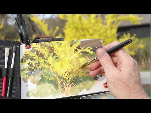 Painting Forsythia Flowers