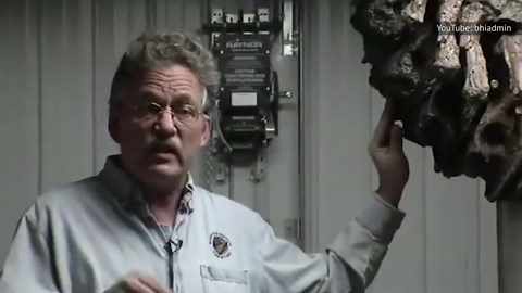 The Tragic Real-Life Story Of Sue The T-Rex