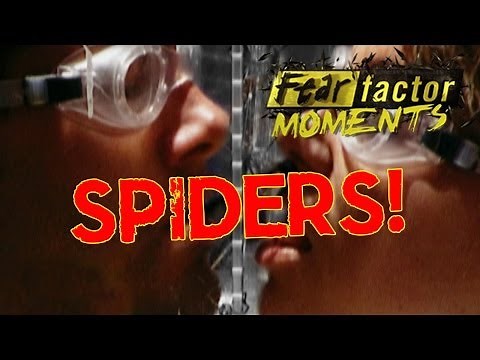 Fear Factor Moments | Spider Head Game