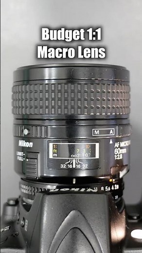 True 1:1 Cheap Macro Lens: Nikon 60mm 1:2.8 (MKI)