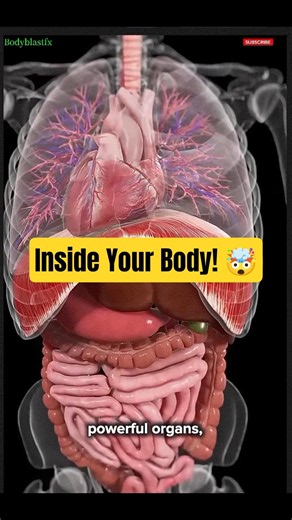 Inside the Human Body 🧬 | The Incredible Machine Keeping You Alive! 🤯