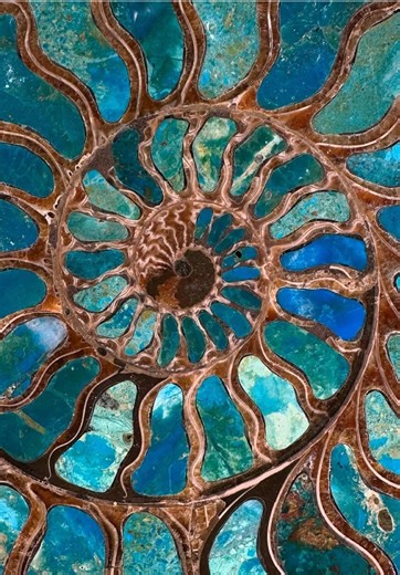 Exploring Desired Reality Shifting Techniques