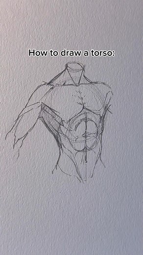 Mastering Torso Drawing in Manga Art: A Beginner's Guide