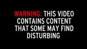WARNING: GRAPHIC CONTENT. The boat passengers are seen throwing bread into the water in an apparent bid to entice the pig in the predator's direction Tourists have been slammed after a video appeared to show them luring a pig into a river so they could watch it being eaten by an alligator. In the footage, which was captured in New Orleans, tourists are seen throwing bread to hungry, wild pigs at the side of a river as they take a boat trip. But hiding behind a tree root was a huge alligator, wai