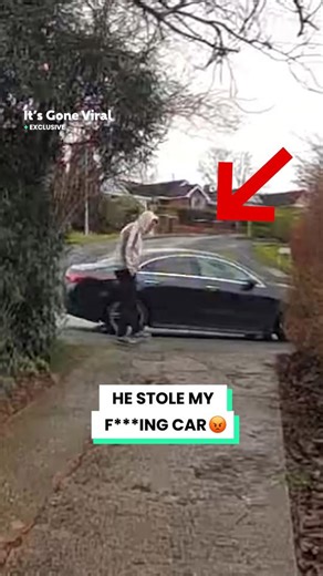 I tracked down my stolen car and found this