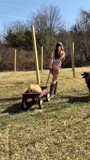 #Shorts #emmyrossumi